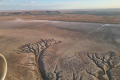 20211219_181209-scaled