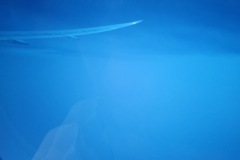 20250614_125951