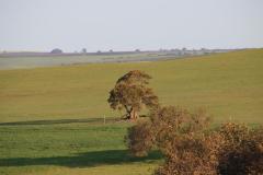 IMG_1566
