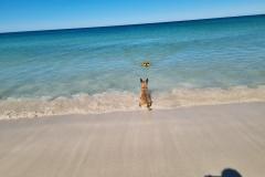 20221115_082828-1024x768