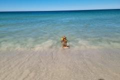 20221115_082831-1024x768