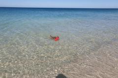 20221128_082941-1024x768