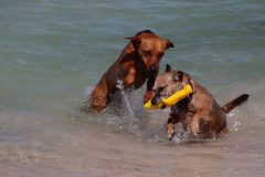 IMG_7634-scaled