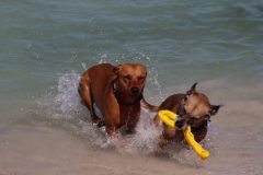 IMG_7636-scaled