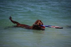 IMG_7803-scaled