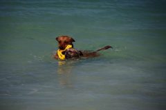 IMG_8402-scaled