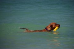 IMG_8424-scaled