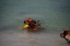 IMG_8467-scaled