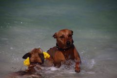 IMG_8478-scaled