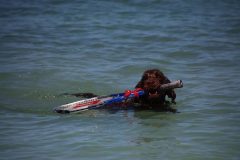 IMG_8638-scaled
