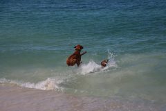 IMG_8664-scaled