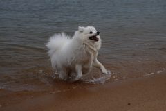 IMG_5904-scaled