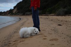 IMG_5968-scaled