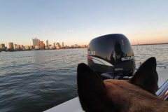 20211229_191722-scaled