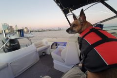 20211229_193016-scaled