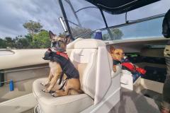 20221110_070957-1024x768