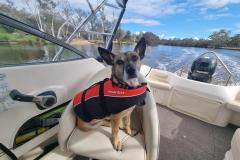 20221110_081042-1024x768