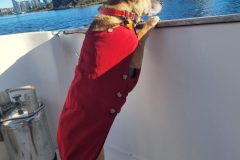 20230702_090146-scaled