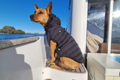 20230702_090240-scaled