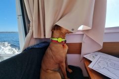 20230722_112919-scaled