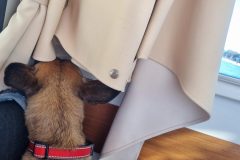 20230722_133717-scaled