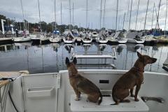 20240616_101951-1024x768