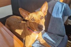 20240616_110128-1024x768