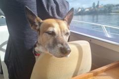 20240616_110138-1024x768