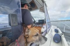 20240616_120004-1024x768