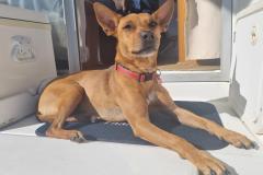 20240616_131107-1024x768