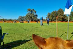 20220911_083614-1024x768