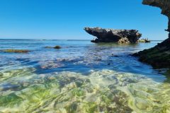 20221128_110906-scaled