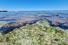 20221128_110920-scaled