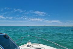 20221129_113949-scaled