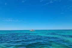 20221129_113956-scaled