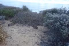 2019-05-23-17.33.16-1024x576