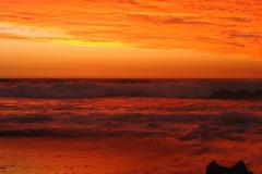 IMG_1312-1024x819