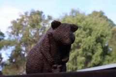 IMG_0954