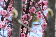 IMG_1627