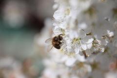 IMG_1645
