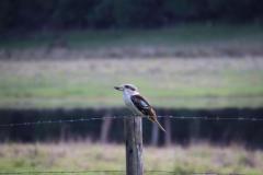 IMG_1733