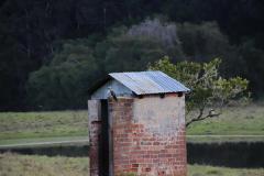 IMG_1771