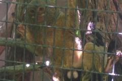 2017-01-28-12.52.33-1024x1396