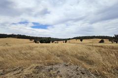 20231207_114245-1024x768