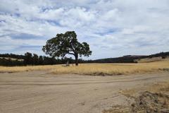 20231207_114248-1024x768