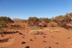 2020-12-01-08.22.26-1