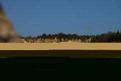 IMG_5459