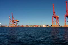 2017-02-05-07.37.16-1024x757