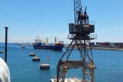 2017-02-01-13.15.02-1024x1820