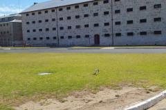 2017-02-01-09.15.26-1024x1820